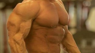 mature muscle men porn